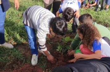 Foto - SEMANA DO MEIO AMBIENTE - 2025