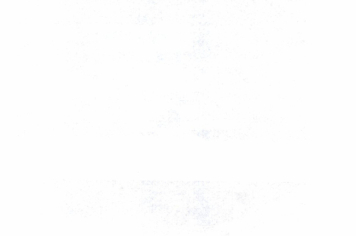 Foto - RELATÓRIO DESENVOLVIDOS 2024