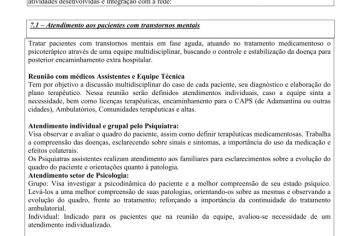 Foto - RELATÓRIO DESENVOLVIDOS 2024