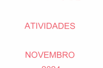 Foto - RELATÓRIO DESENVOLVIDOS 2024