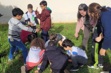 Foto - SEMANA DO MEIO AMBIENTE - 2025