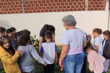 Foto - SEMANA DO MEIO AMBIENTE - 2025