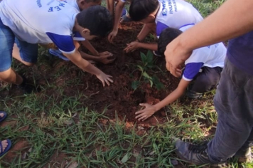 Foto - SEMANA DO MEIO AMBIENTE - 2025