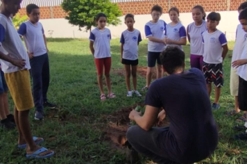 Foto - SEMANA DO MEIO AMBIENTE - 2025