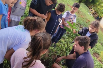Foto - SEMANA DO MEIO AMBIENTE - 2025