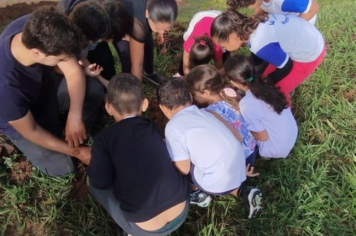 Foto - SEMANA DO MEIO AMBIENTE - 2025