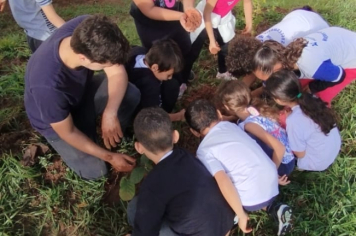 Foto - SEMANA DO MEIO AMBIENTE - 2025