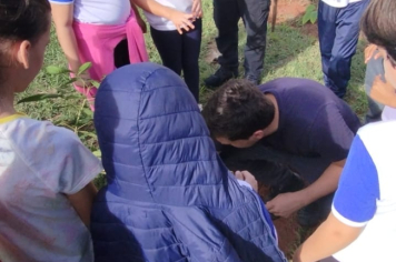 Foto - SEMANA DO MEIO AMBIENTE - 2025