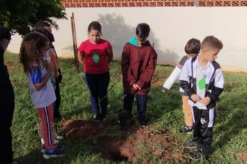 Foto - SEMANA DO MEIO AMBIENTE - 2025