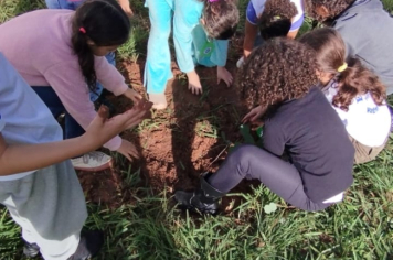 Foto - SEMANA DO MEIO AMBIENTE - 2025
