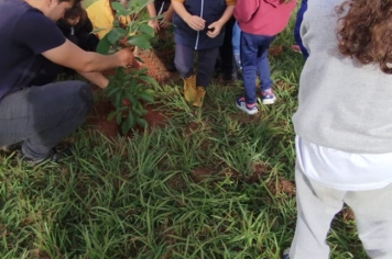 Foto - SEMANA DO MEIO AMBIENTE - 2025