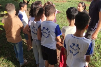 Foto - SEMANA DO MEIO AMBIENTE - 2025