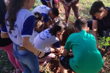 Foto - SEMANA DO MEIO AMBIENTE - 2025