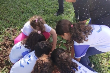 Foto - SEMANA DO MEIO AMBIENTE - 2025