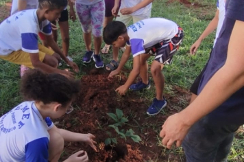 Foto - SEMANA DO MEIO AMBIENTE - 2025