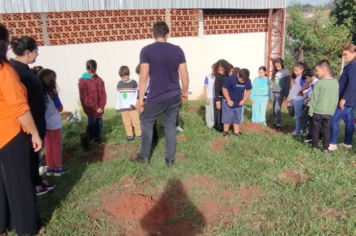 Foto - SEMANA DO MEIO AMBIENTE - 2025