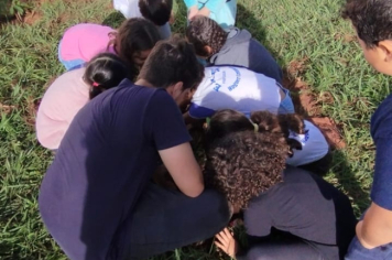 Foto - SEMANA DO MEIO AMBIENTE - 2025