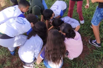 Foto - SEMANA DO MEIO AMBIENTE - 2025