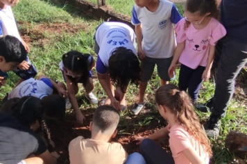 Foto - SEMANA DO MEIO AMBIENTE - 2025