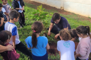 Foto - SEMANA DO MEIO AMBIENTE - 2025