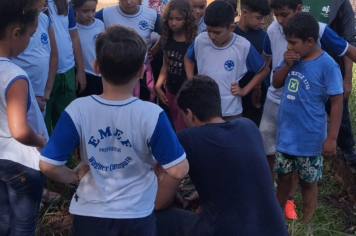 Foto - SEMANA DO MEIO AMBIENTE - 2025