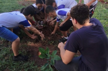 Foto - SEMANA DO MEIO AMBIENTE - 2025
