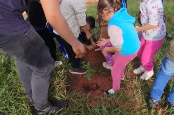 Foto - SEMANA DO MEIO AMBIENTE - 2025