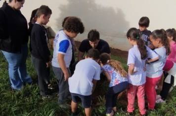 Foto - SEMANA DO MEIO AMBIENTE - 2025