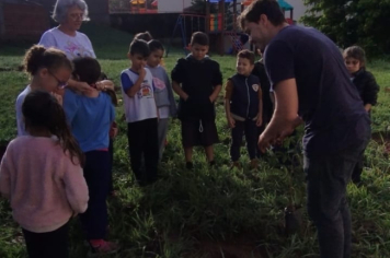 Foto - SEMANA DO MEIO AMBIENTE - 2025