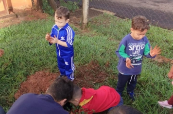 Foto - SEMANA DO MEIO AMBIENTE - 2025