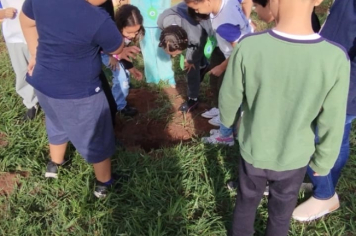 Foto - SEMANA DO MEIO AMBIENTE - 2025