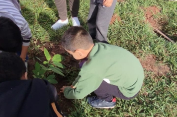 Foto - SEMANA DO MEIO AMBIENTE - 2025