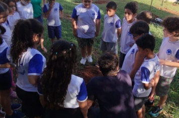 Foto - SEMANA DO MEIO AMBIENTE - 2025