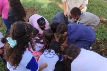 Foto - SEMANA DO MEIO AMBIENTE - 2025