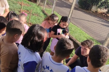 Foto - SEMANA DO MEIO AMBIENTE - 2025