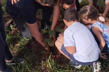 Foto - SEMANA DO MEIO AMBIENTE - 2025