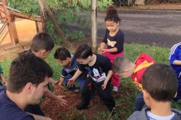 Foto - SEMANA DO MEIO AMBIENTE - 2025