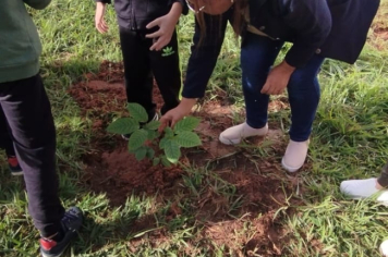 Foto - SEMANA DO MEIO AMBIENTE - 2025