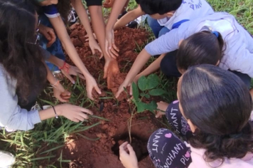 Foto - SEMANA DO MEIO AMBIENTE - 2025