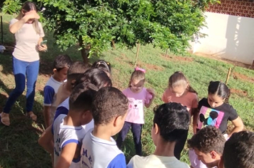 Foto - SEMANA DO MEIO AMBIENTE - 2025