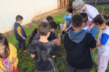 Foto - SEMANA DO MEIO AMBIENTE - 2025