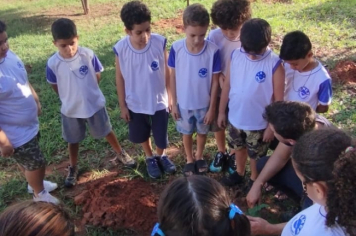 Foto - SEMANA DO MEIO AMBIENTE - 2025
