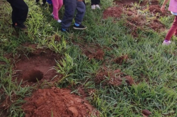 Foto - SEMANA DO MEIO AMBIENTE - 2025