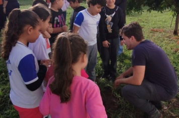 Foto - SEMANA DO MEIO AMBIENTE - 2025