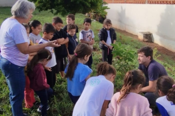 Foto - SEMANA DO MEIO AMBIENTE - 2025