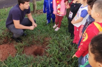 Foto - SEMANA DO MEIO AMBIENTE - 2025