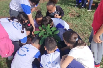 Foto - SEMANA DO MEIO AMBIENTE - 2025