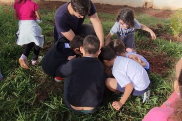 Foto - SEMANA DO MEIO AMBIENTE - 2025